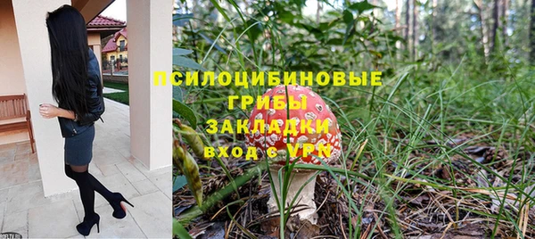 шишки Богданович